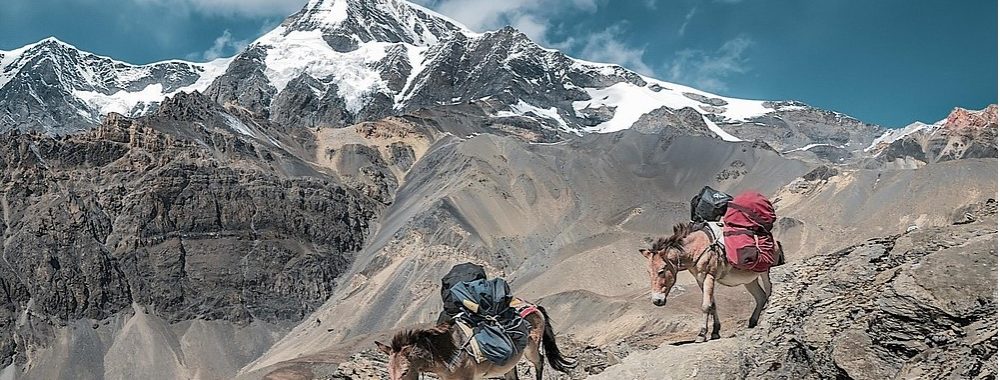 Une baisse des taux avant une rencontre au sommet