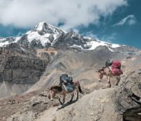 Une baisse des taux avant une rencontre au sommet