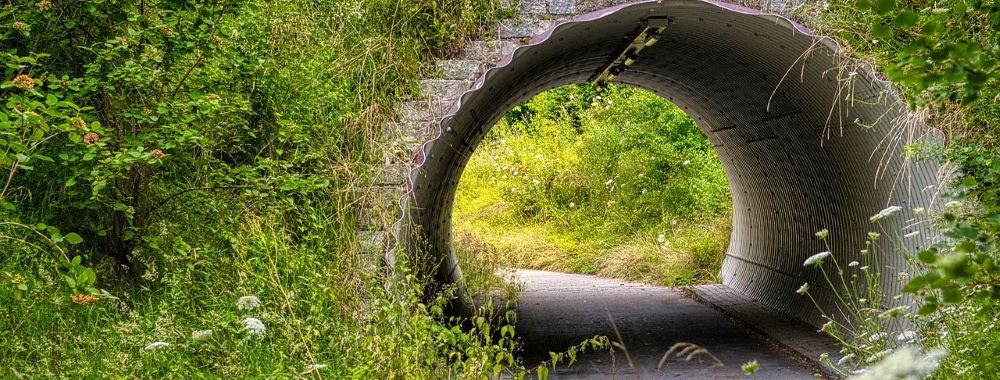 L’approche hors des sentiers battus de Carmignac Investissement