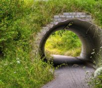 L’approche hors des sentiers battus de Carmignac Investissement