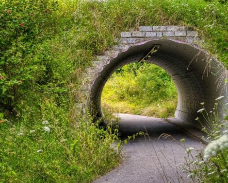 L’approche hors des sentiers battus de Carmignac Investissement (2)