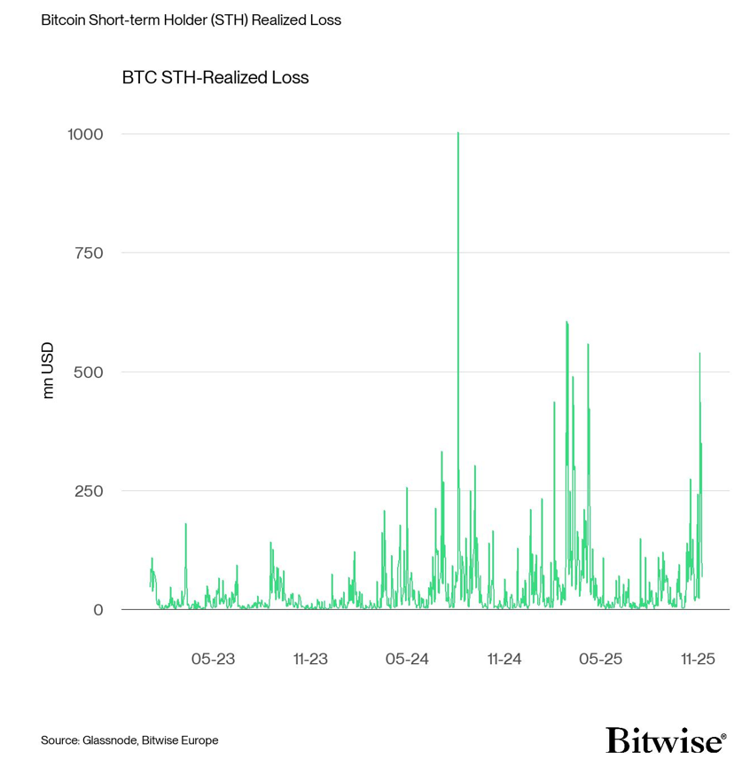 2025.11.12.BTC Holders