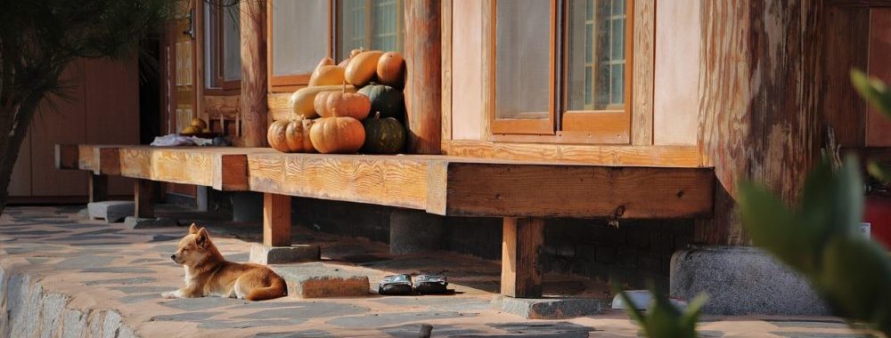 Pause automnale, mais tendance haussière intacte