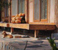 Pause automnale, mais tendance haussière intacte