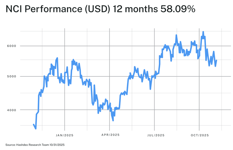 2025.11.19.Peformance NCI 12 mois