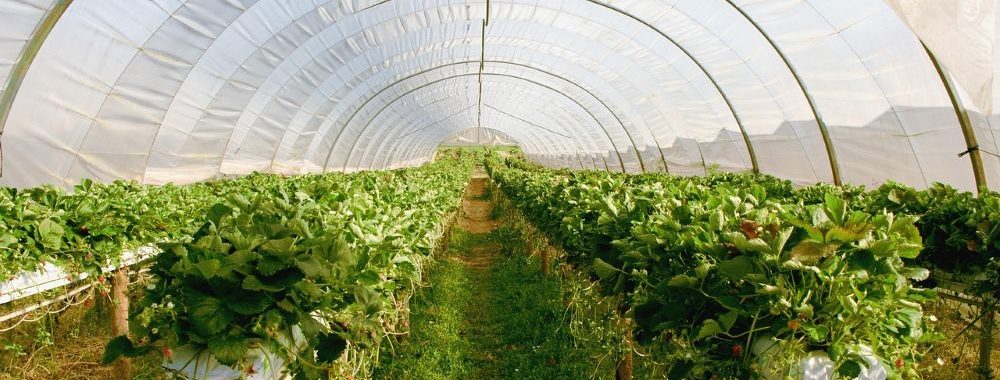 Pas juste un chiffre: l’allocation aux marchés privés peut améliorer l’engagement des membres