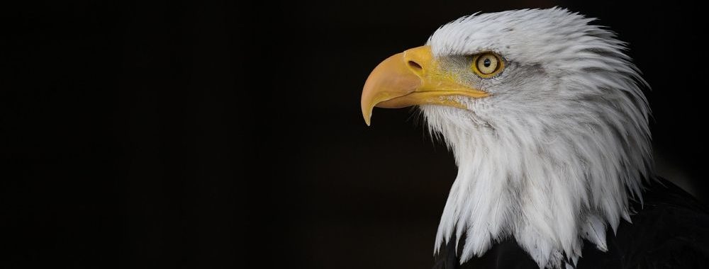 Une Fed fracturée entre baisse et statu quo : ce qu’il faut attendre de la prochaine réunion