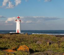 Perspectives du marché 2026: La faiblesse du dollar ouvre de nouvelles perspectives