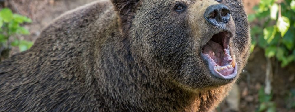 Wall Street se fait essorer