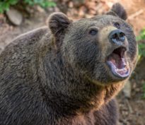 Wall Street se fait essorer