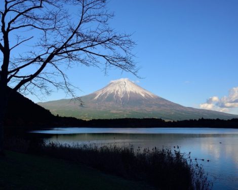 Le Japon sort de l’ombre: Plus d’une décennie d’Abenomics et la fin de la déflation