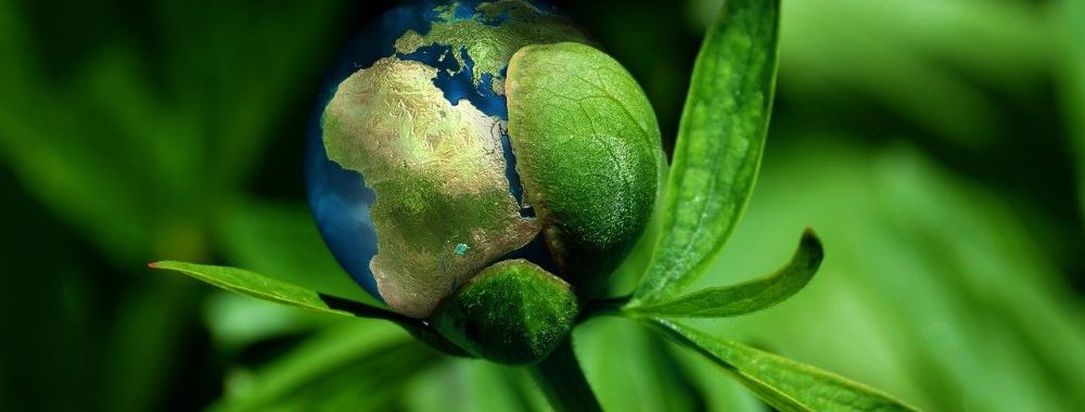 Au-delà des perceptions à court terme: l’investissement axé sur la durabilité reste résilient