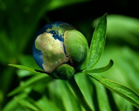 Au-delà des perceptions à court terme: l’investissement axé sur la durabilité reste résilient