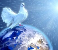 Le marché a tourné la page