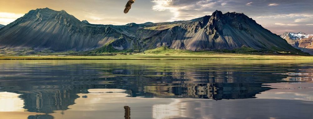 Nordea Asset Management s&rsquo;implante en Nouvelle-Zélande