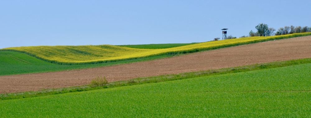 Du «vert» à la transition: Financer l’entre-deux