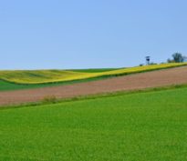 Du «vert» à la transition: Financer l’entre-deux