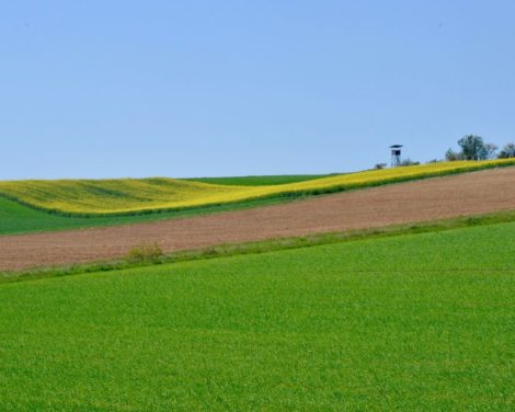 Du «vert» à la transition: Financer l’entre-deux