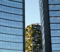 Biodiversité: entre renaturation réelle et biodiversité de façade