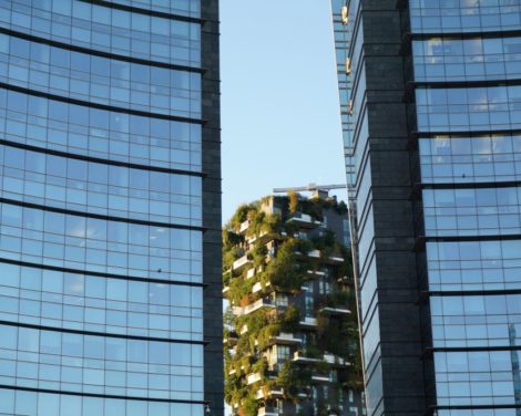 Biodiversité: entre renaturation réelle et biodiversité de façade
