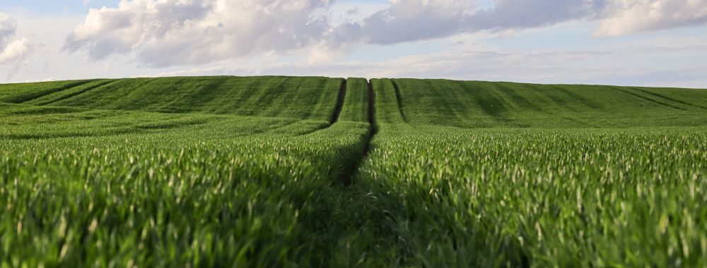 La hausse des prix agricoles, un coupe-faim pour l’industrie alimentaire?