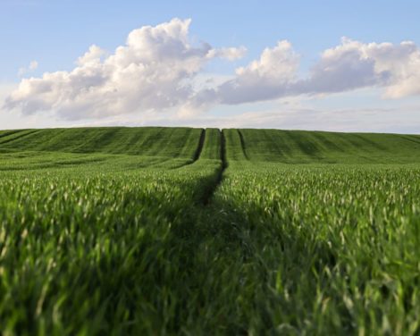 La hausse des prix agricoles, un coupe-faim pour l’industrie alimentaire?