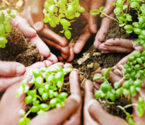 AMC – une étape vers la transformation digitale de la finance