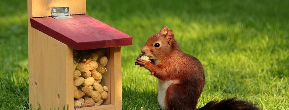 Les taux, l’emploi, la migraine de la FED et le retour des Américains