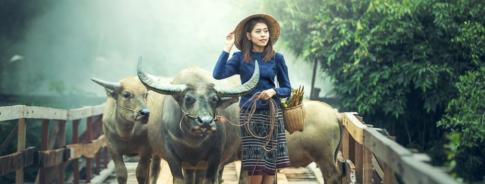 Comment on dit « BULL MARKET » en chinois ? – 牛市