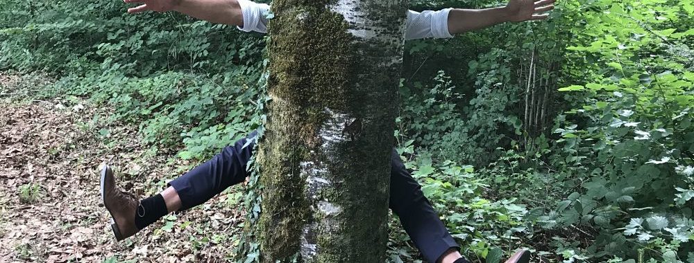 Progrès technique : l’arbre qui cache la forêt?