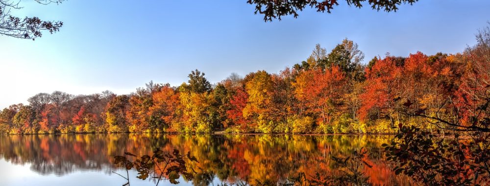 Si on vend en mai, qu’est-ce qu’on fait en novembre ?