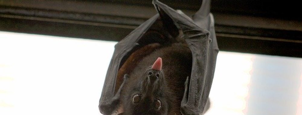 On met un pied dans l’eau. Mais timidement