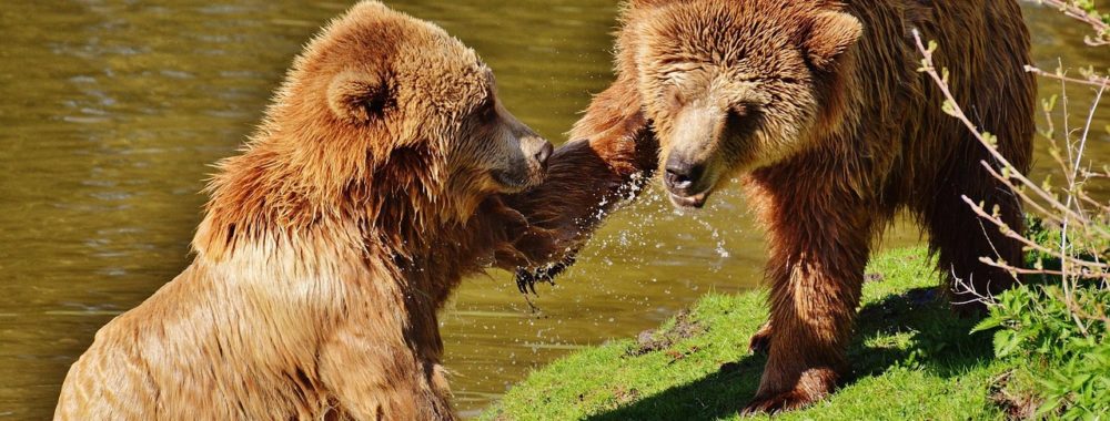 Chronique d’un baffe obligataire annoncée
