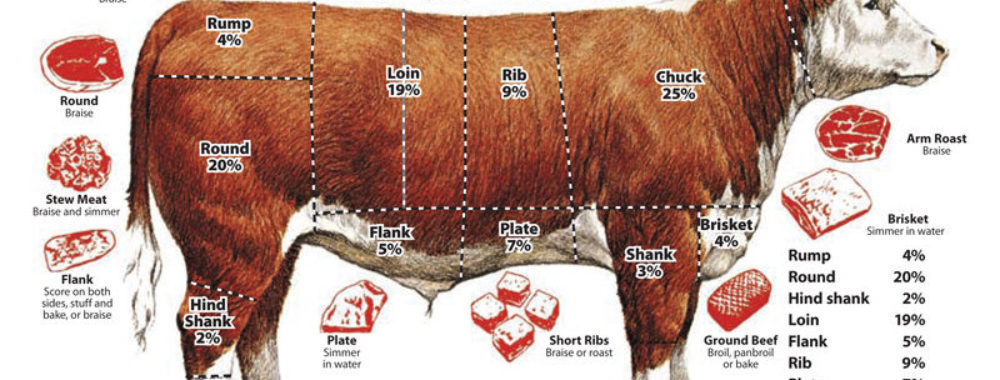 Quand c’est évident, c’est évidemment faux