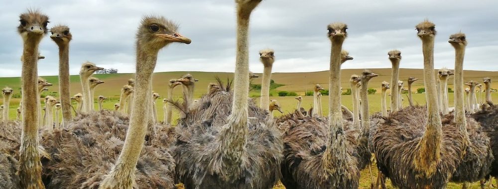 Vivement le mois d’octobre