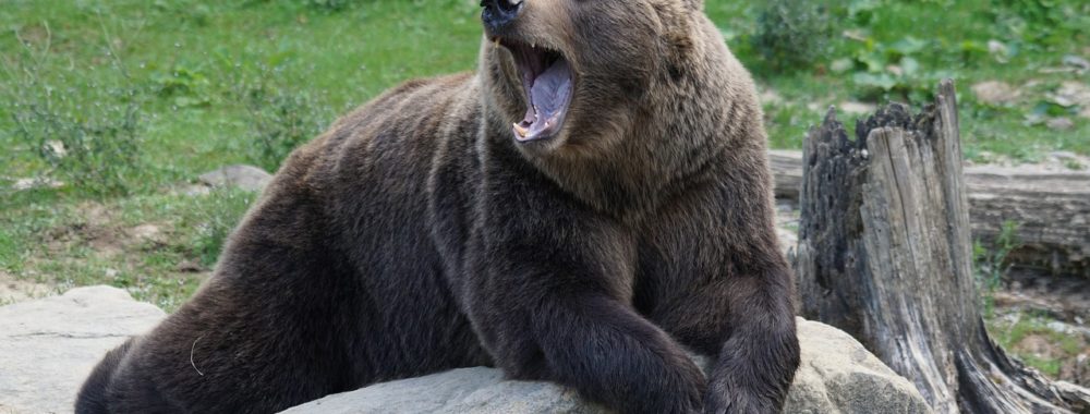 Il est temps que ça se termine