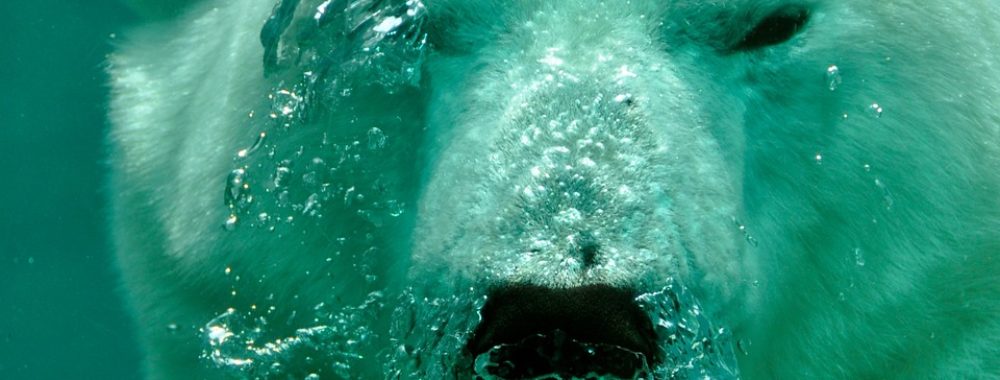 Krach, Bulle, Krach, Bulle, Krach. On va bien finir par avoir raison