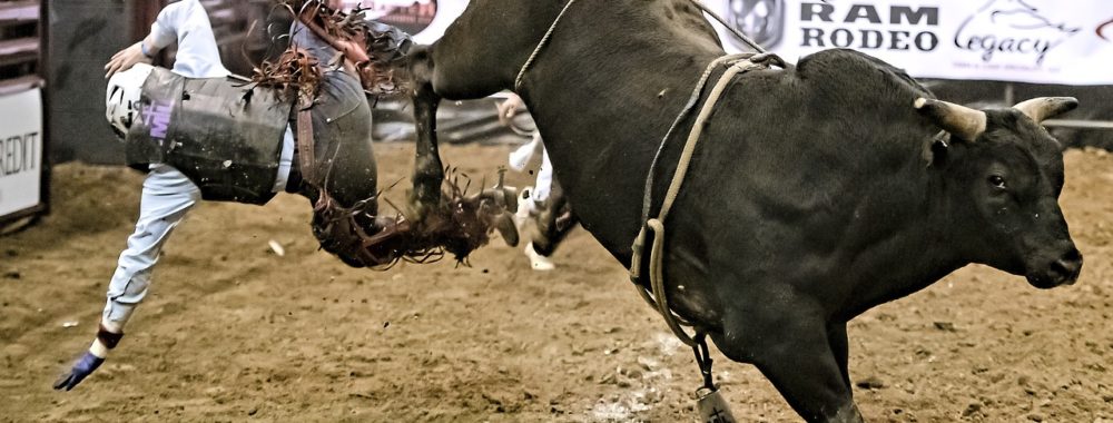 La FED détruit le « Christmas Rally » en une phrase