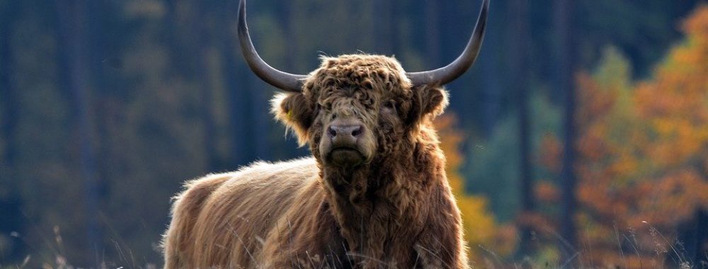 Inflation, infections, records d’altitude et KRACH sur les Cryptos !!!! houhou…