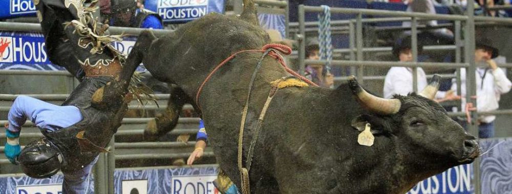 Des miracles, des records, des prévisions à côté de la plaque et à la fin, c’est les Bulls qui gagnent