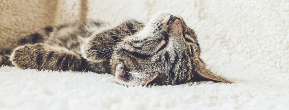 On se rejoue le même film, encore et encore – 9 novembre 2023