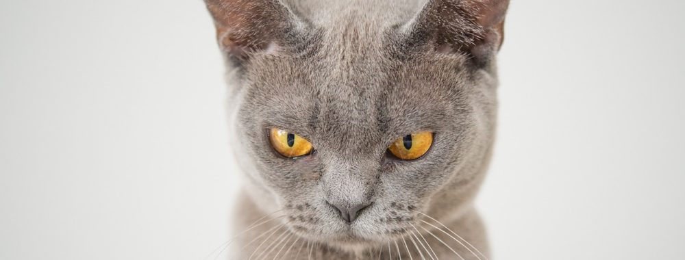 Jamais suffisant, jamais contents