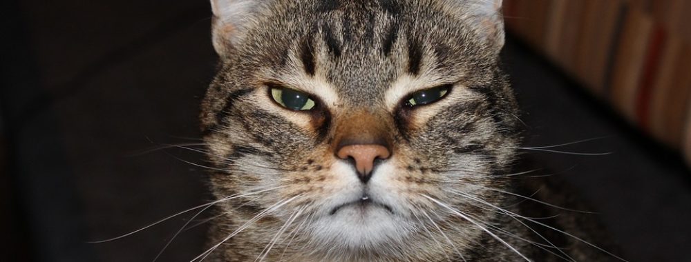 Quand on voit ce qu’on voit, qu’on entend ce qu’on entend, on a raison de se dire que la journée d’hier c’était quand même pas terrible