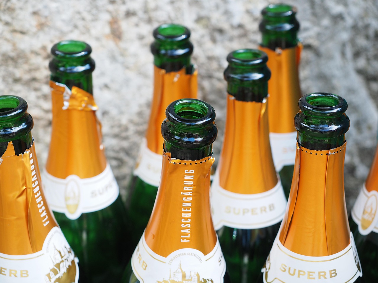 Gueule de bois et sauvetage Ave Maria ! – 10 novembre 2025