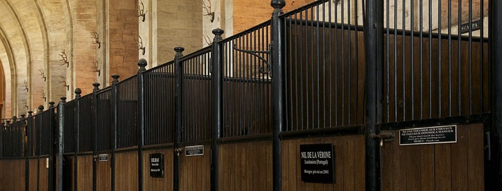 Brasser de l’air et meubler la journée avant de rentrer à l’écurie