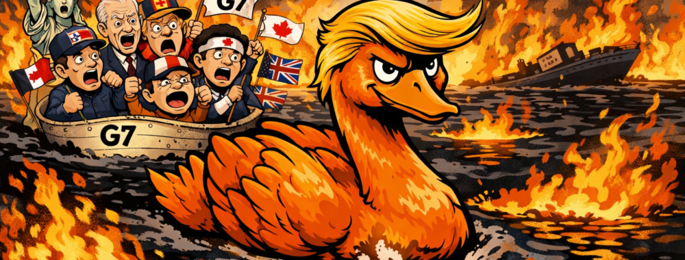 Lundi noir (encore un) et cygne orange