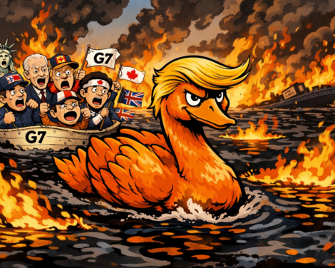 Lundi noir (encore un) et cygne orange