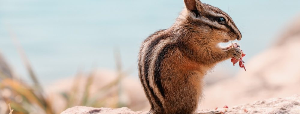 À boire et à manger, mais une certitude avant tout : ne JAMAIS décevoir !
