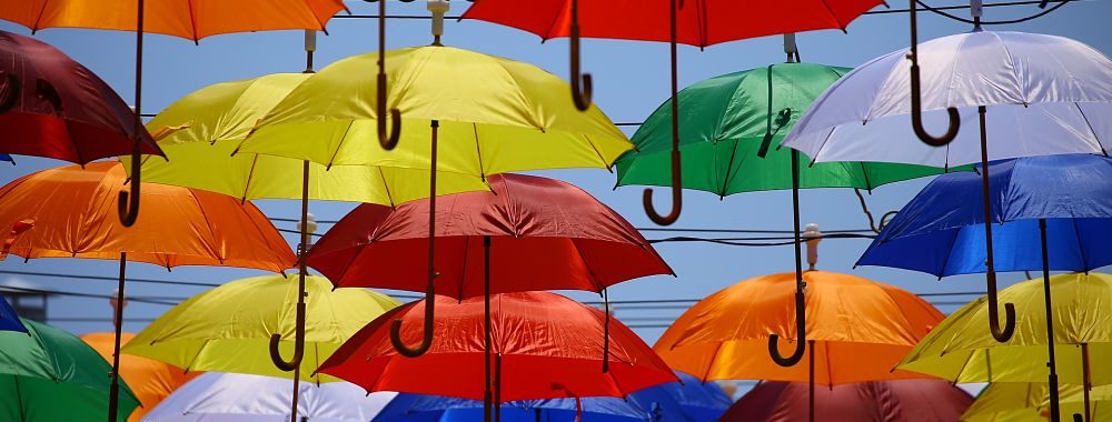 Marché obligataire : la recherche de la performance avec un risque réduit