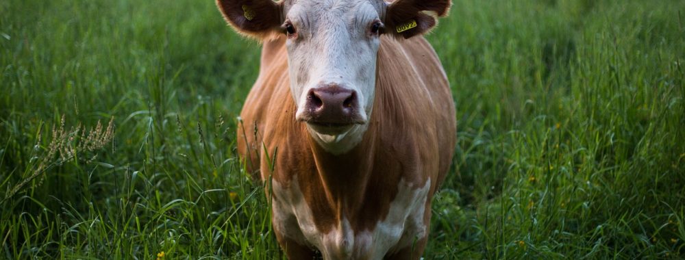 Transitoire, c’est combien de temps ?